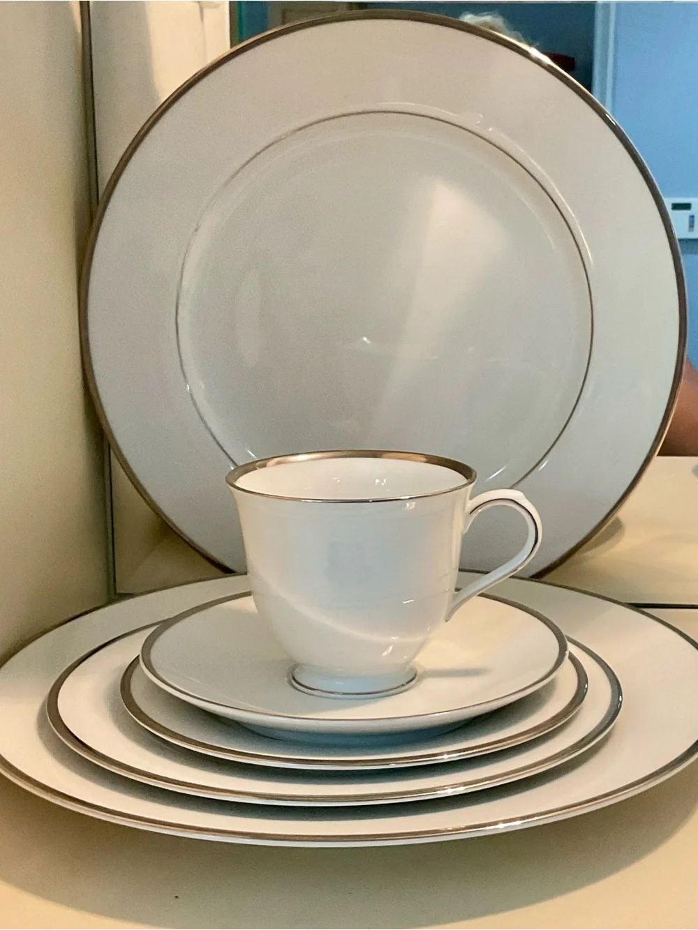 NEW! Nikko Brand Patra “Band of Platinum” – Complete 6‑Place China Setting